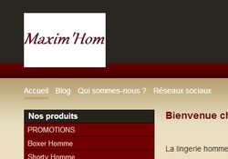 écran rubrique PROMOTIONS Maxim'Hom